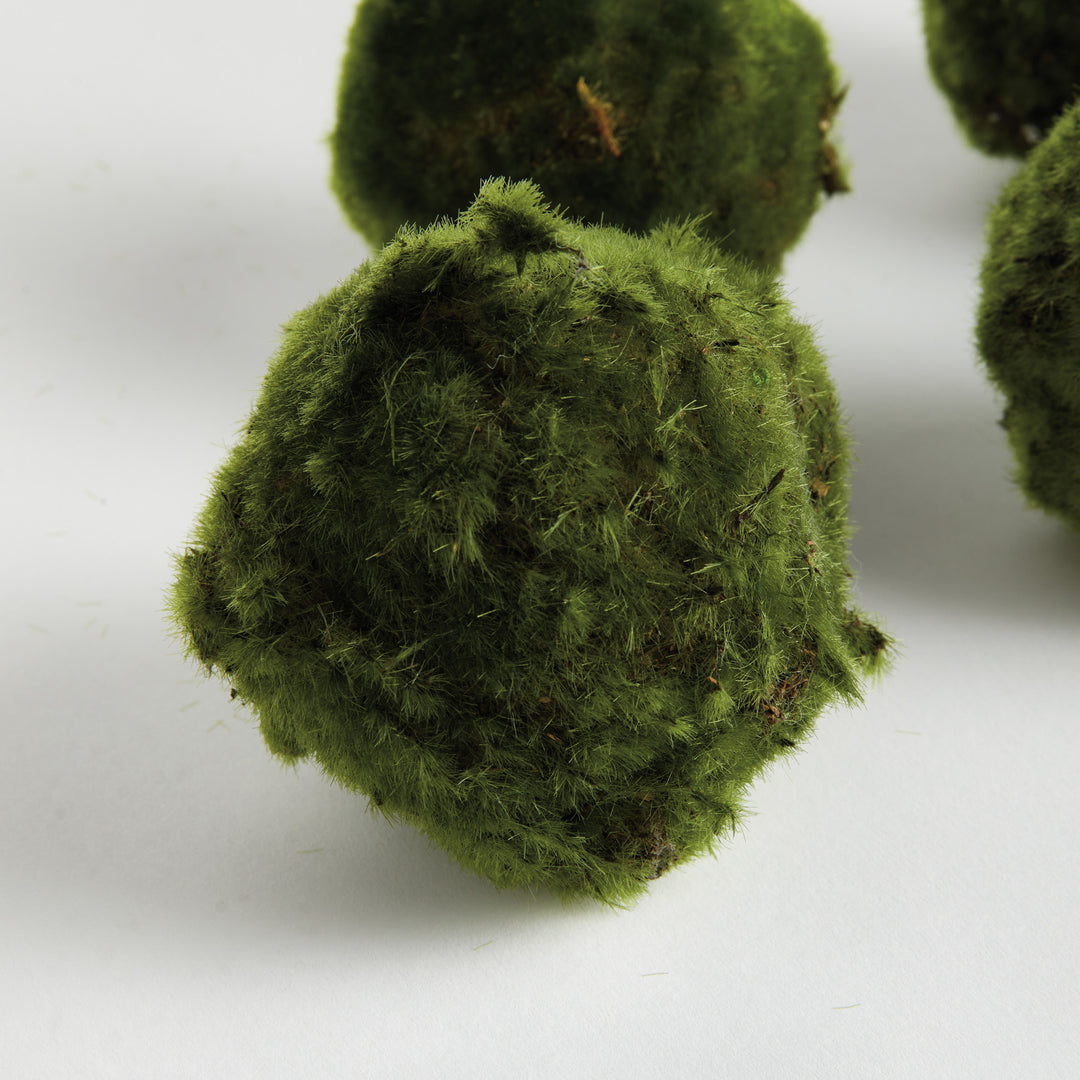 MOSS ORBS 4" ST/6 - Moss