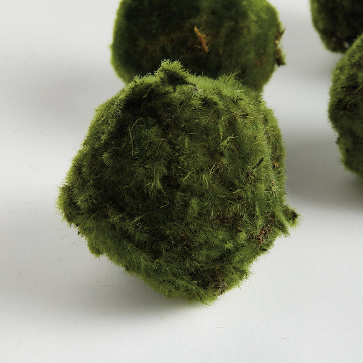 MOSS ORBS 4" ST/6 - Moss