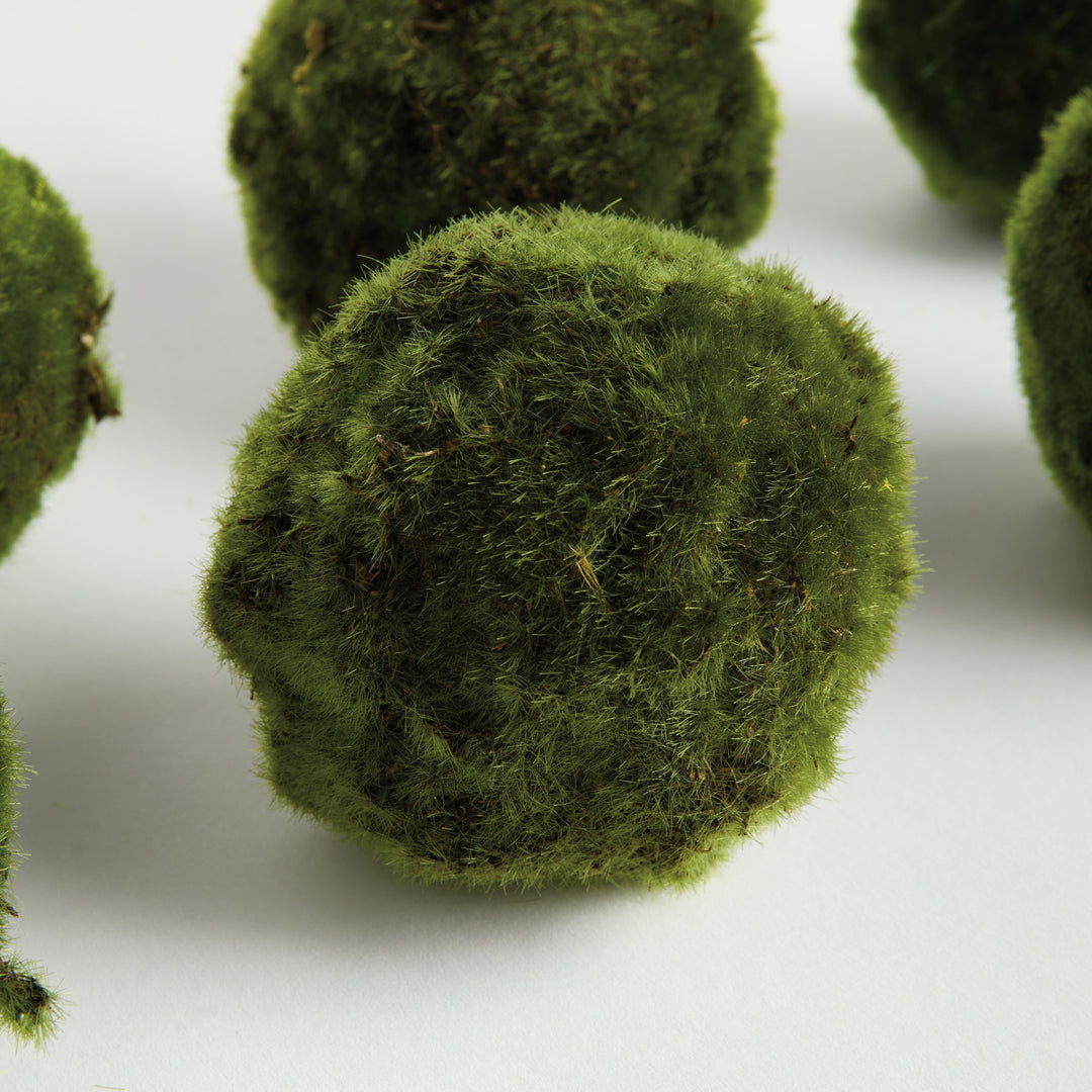 MOSS ORBS 4" ST/6 - Moss