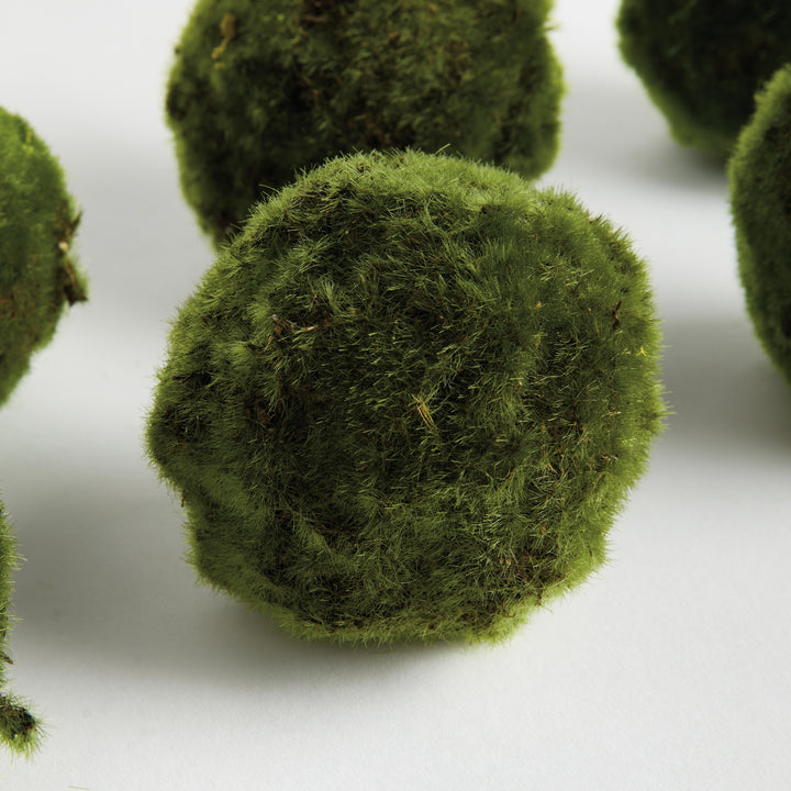 MOSS ORBS 4" ST/6 - Moss
