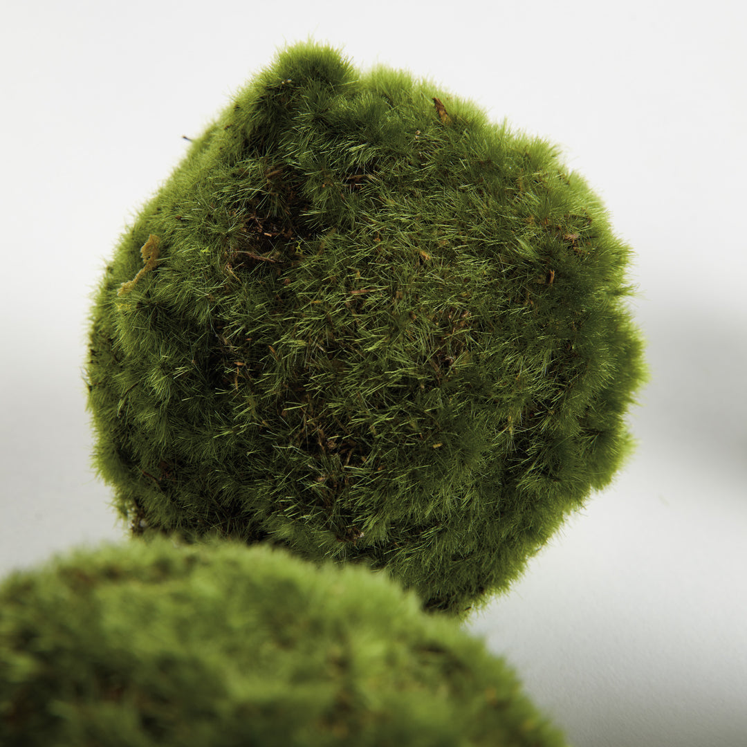MOSS ORBS 4" ST/6 - Moss