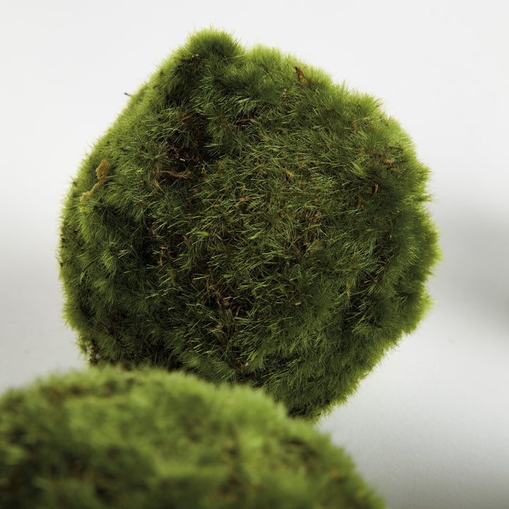 MOSS ORBS 4" ST/6 - Moss