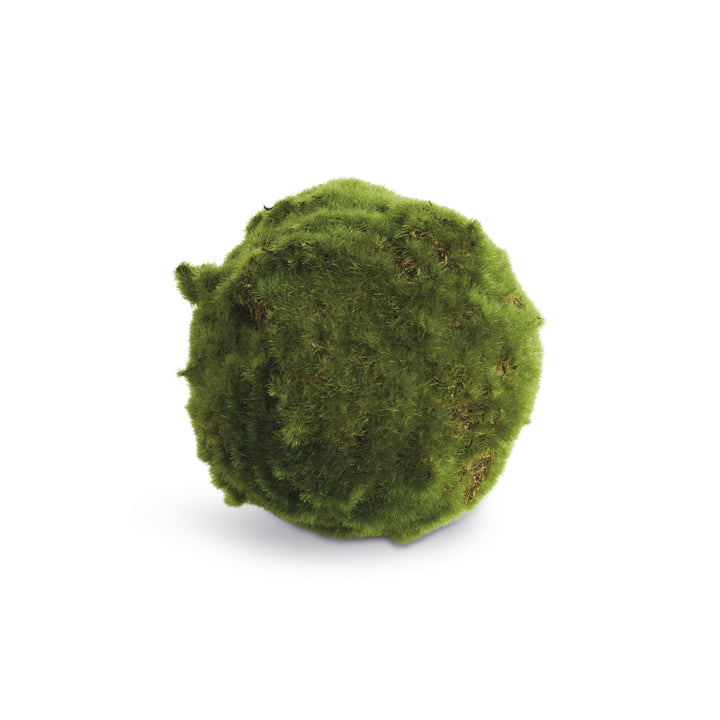 MOSS ORBS 5" ST/3 - Moss