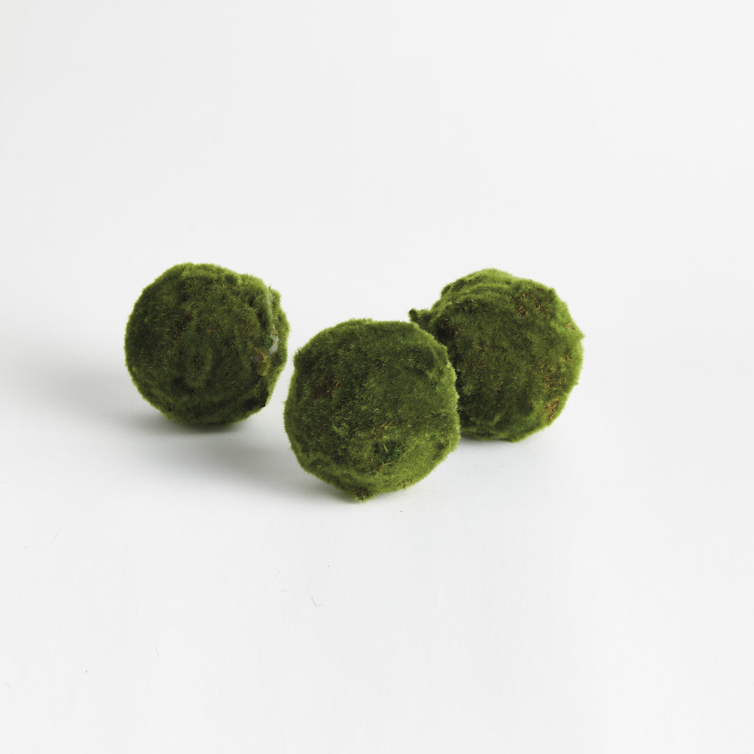 MOSS ORBS 5" ST/3 - Moss