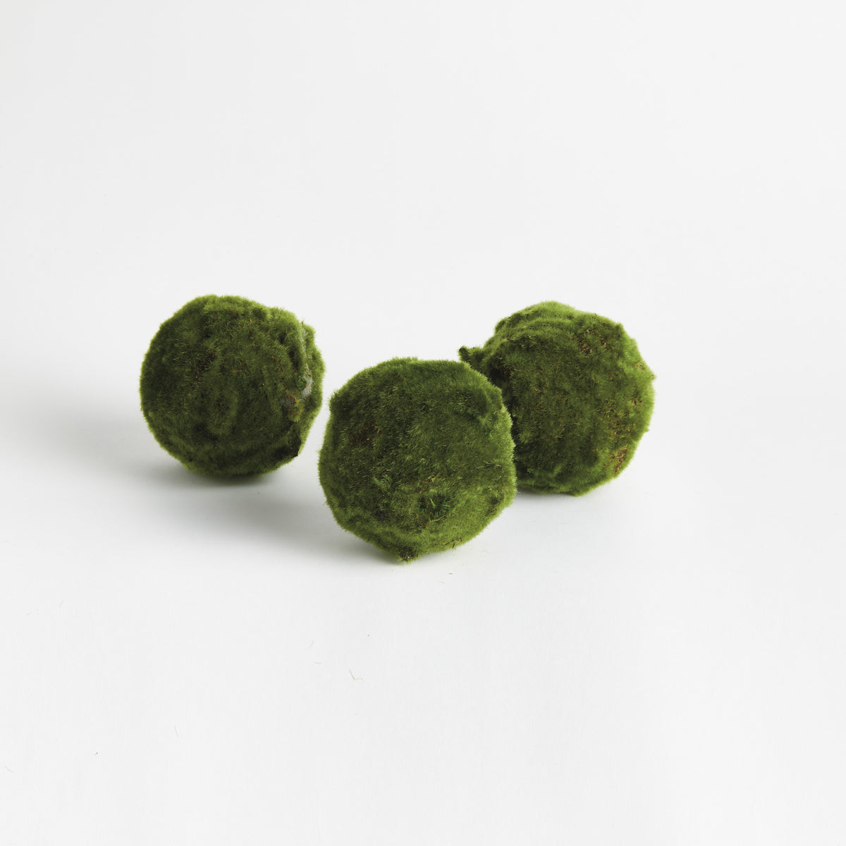 MOSS ORBS 5" ST/3 - Moss