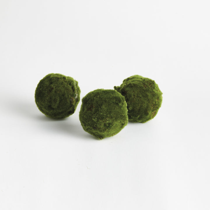 MOSS ORBS 5" ST/3 - Moss