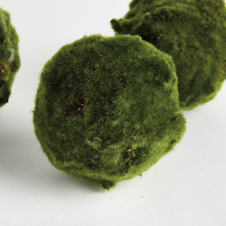 MOSS ORBS 5" ST/3 - Moss