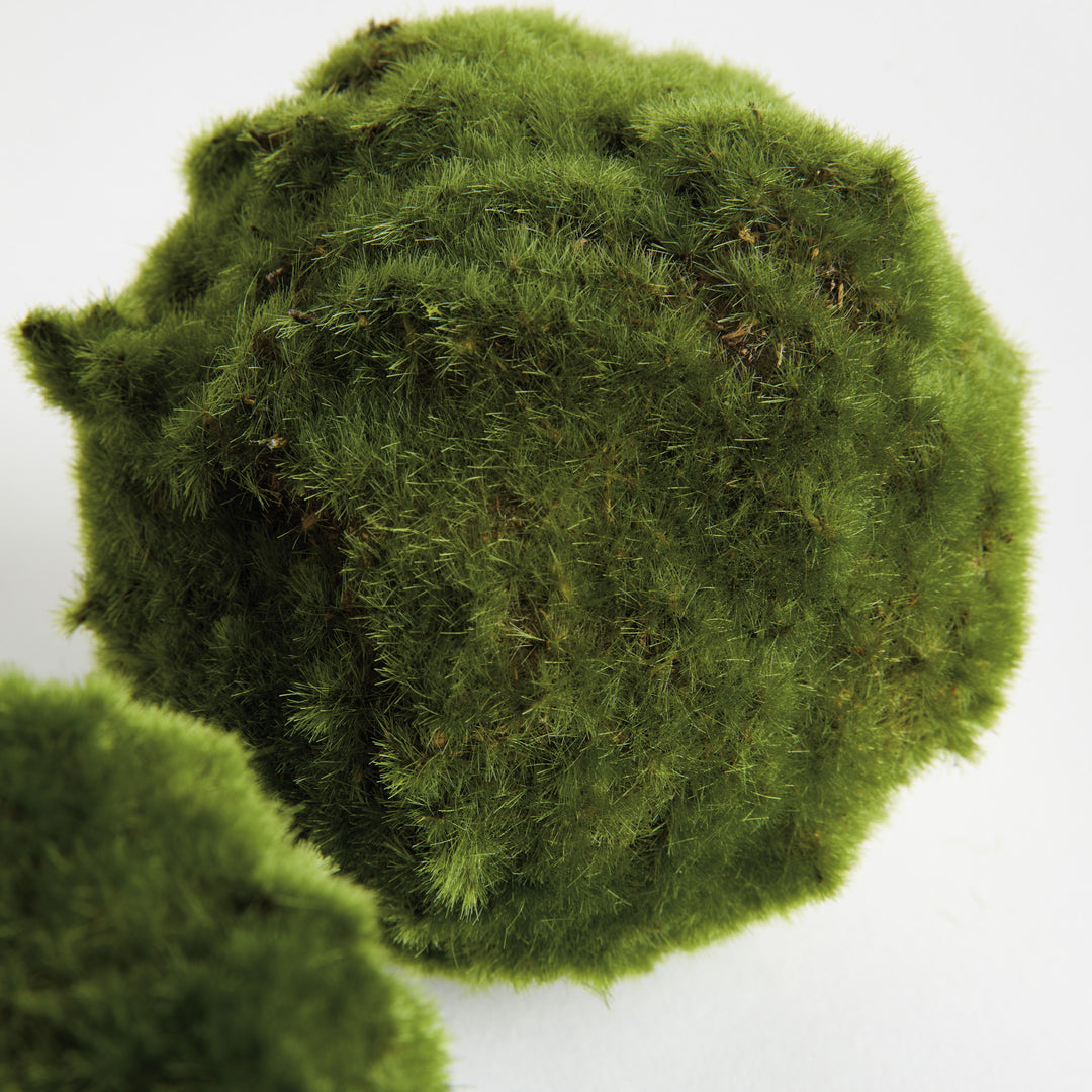 MOSS ORBS 5" ST/3 - Moss
