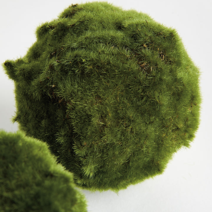 MOSS ORBS 5" ST/3 - Moss