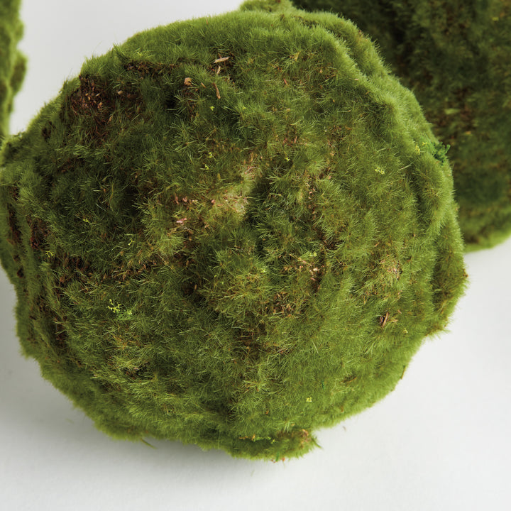 MOSS ORBS 7" ST/3 - Moss