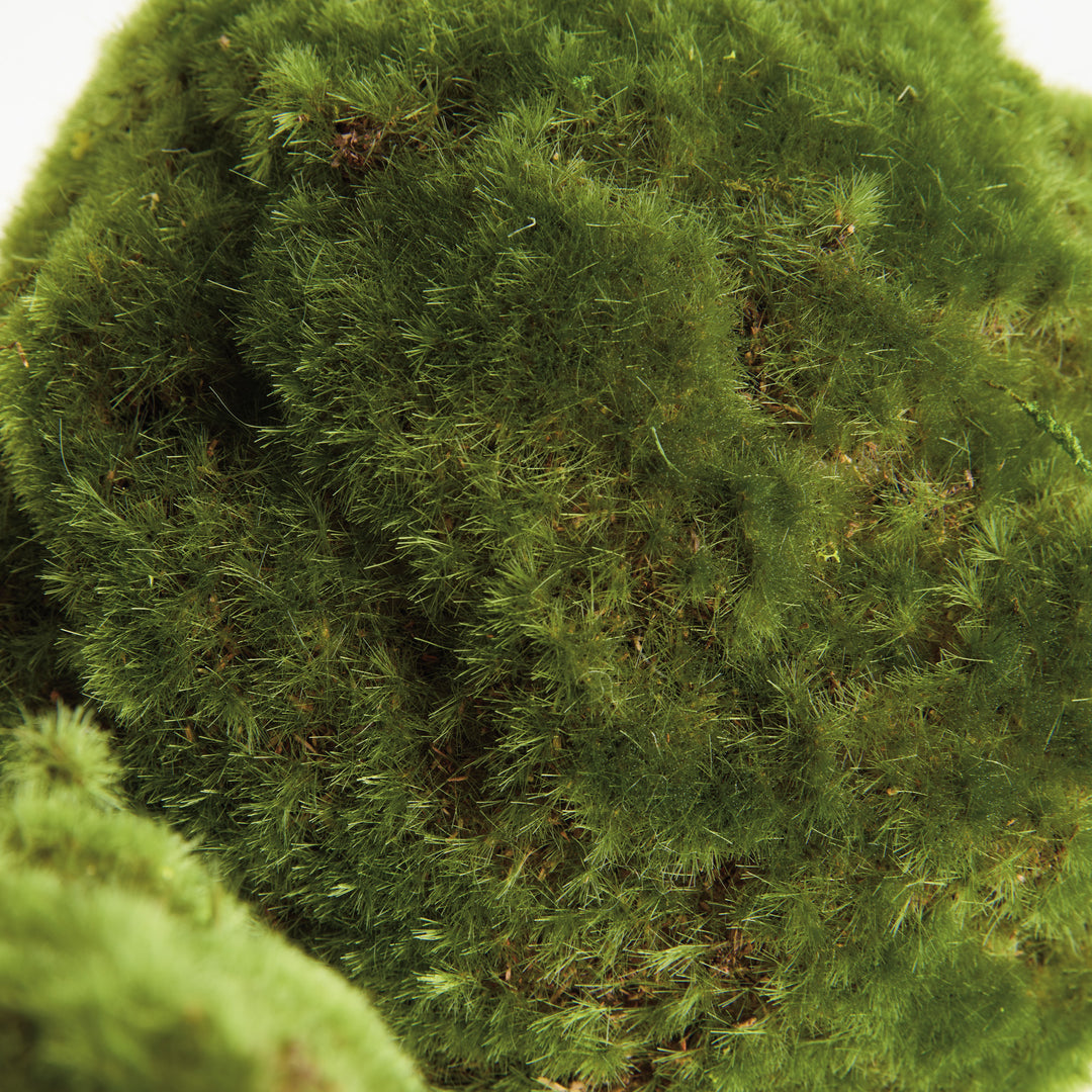 MOSS ORBS 7" ST/3 - Moss