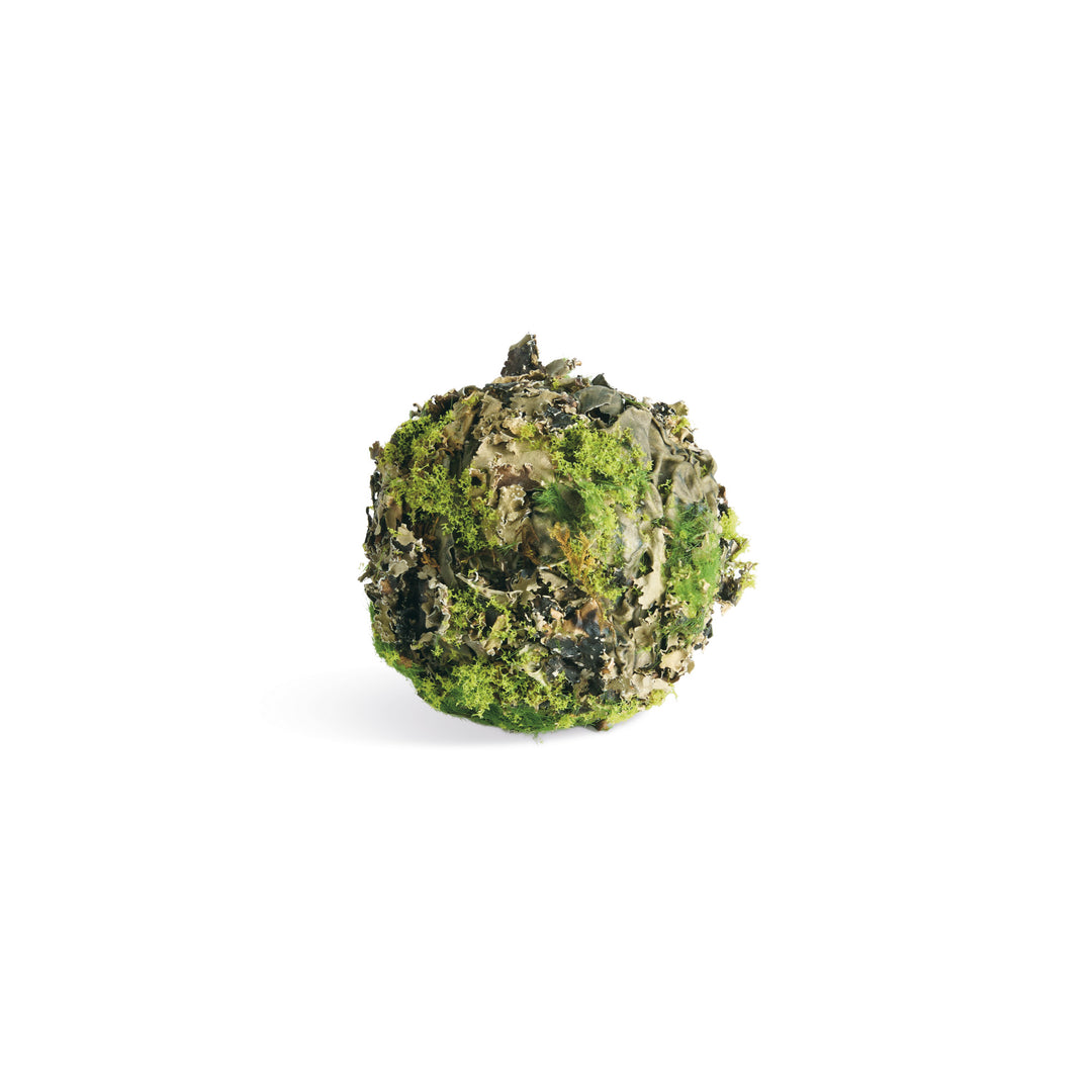 MOSSY LICHEN ORBS 3.5" ST/6 - Natural/Moss