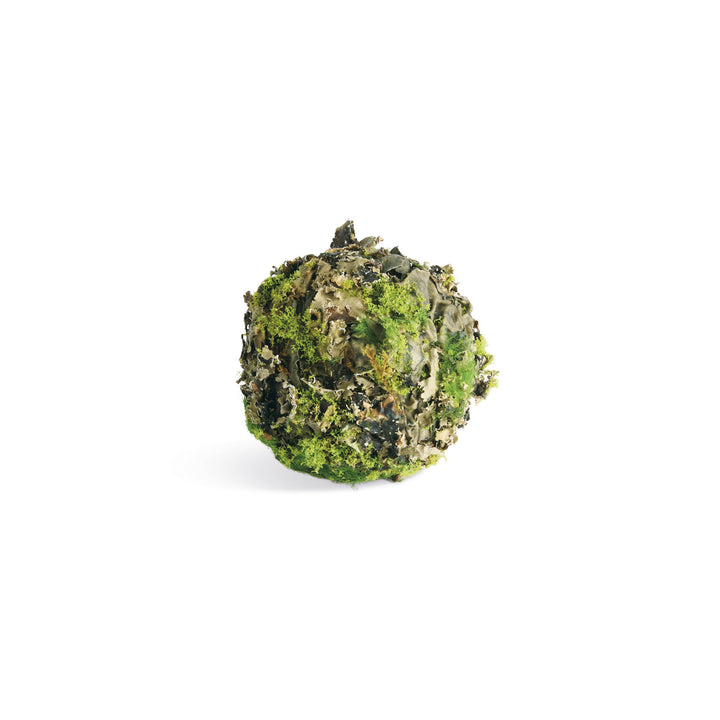 MOSSY LICHEN ORBS 3.5" ST/6 - Natural/Moss