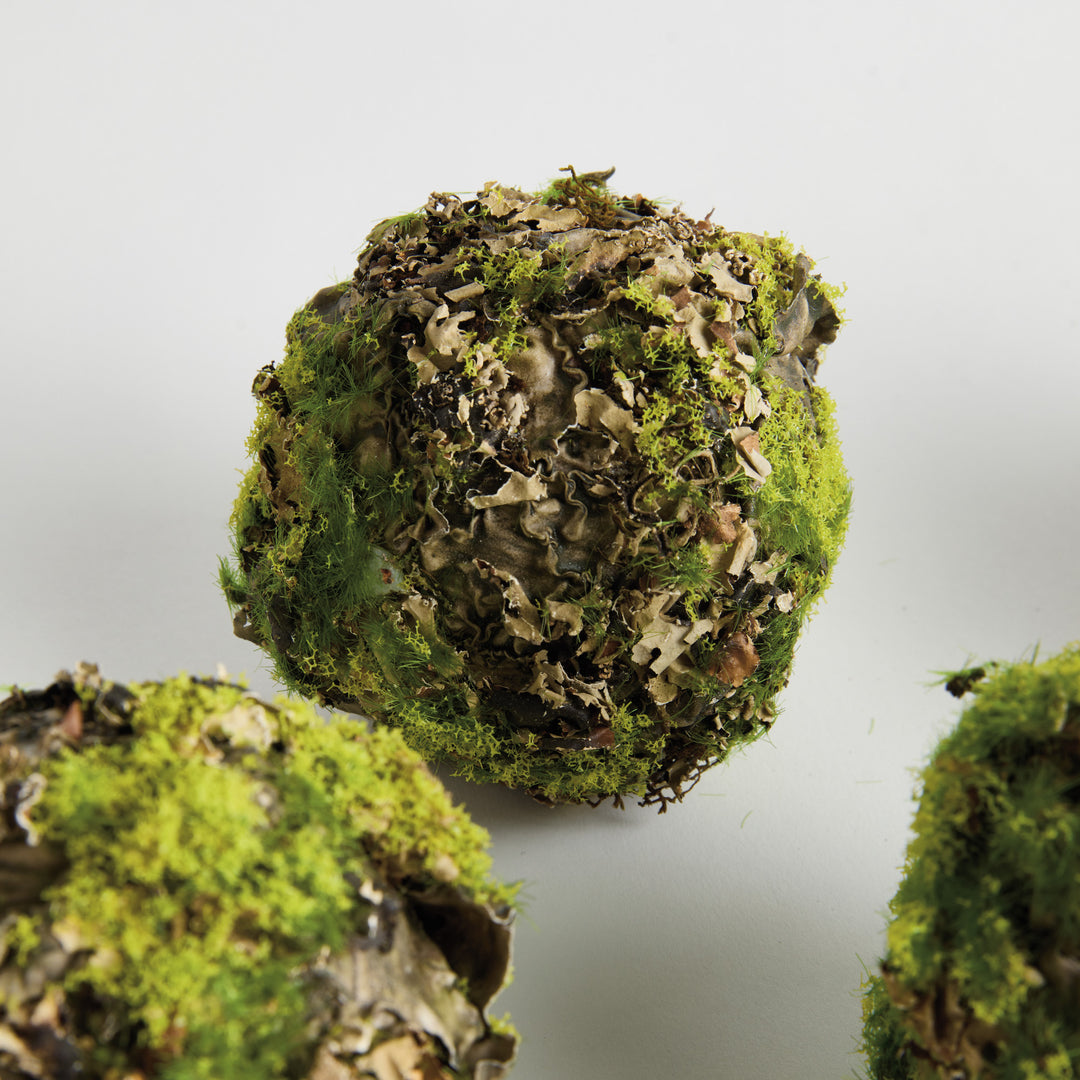 MOSSY LICHEN ORBS 3.5" ST/6 - Natural/Moss