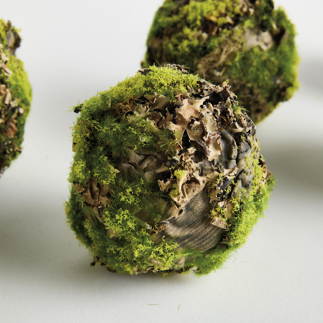 MOSSY LICHEN ORBS 3.5" ST/6 - Natural/Moss