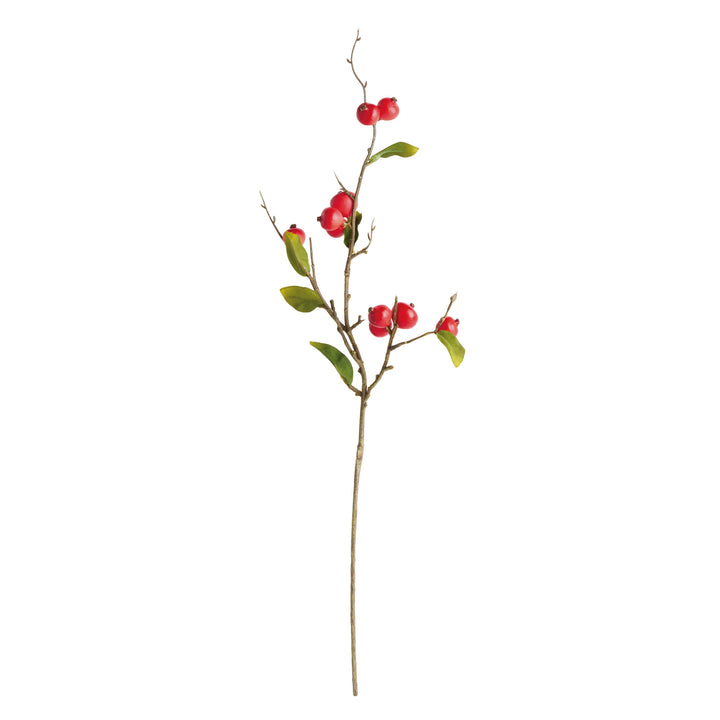 CRABAPPLE STEMS ST/6 - Red