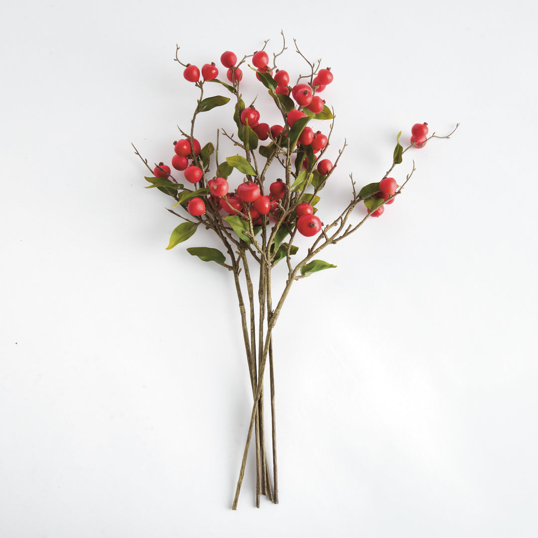 CRABAPPLE STEMS ST/6 - Red