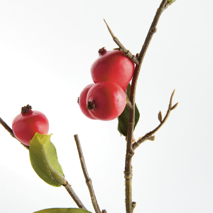 CRABAPPLE STEMS ST/6 - Red