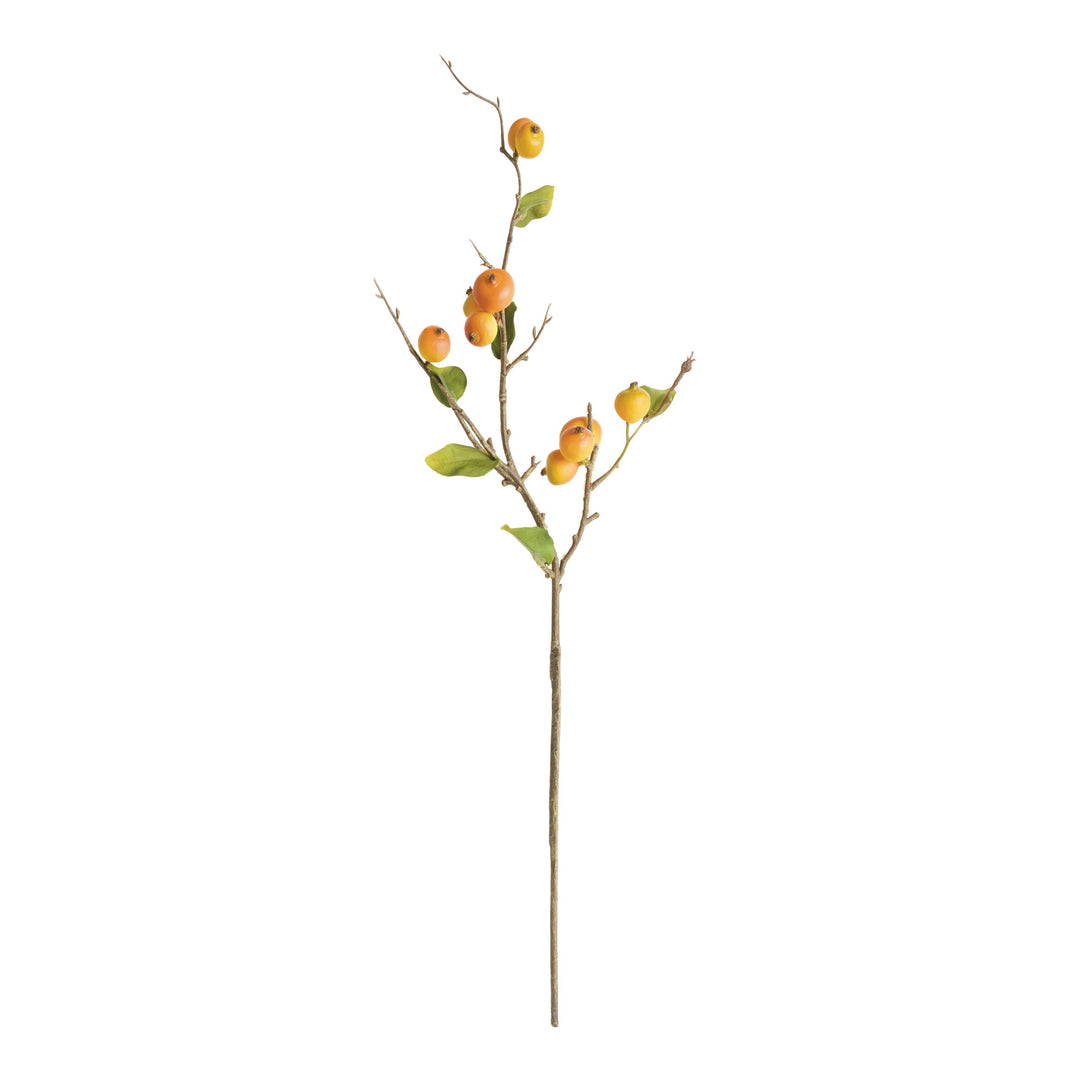 CRABAPPLE STEMS ST/6 - Yellow/Orange