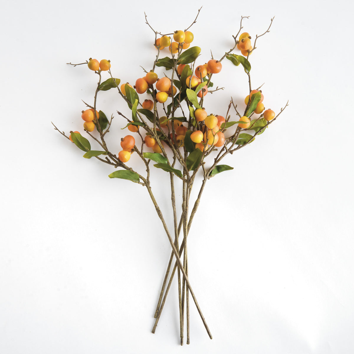 CRABAPPLE STEMS ST/6 - Yellow/Orange