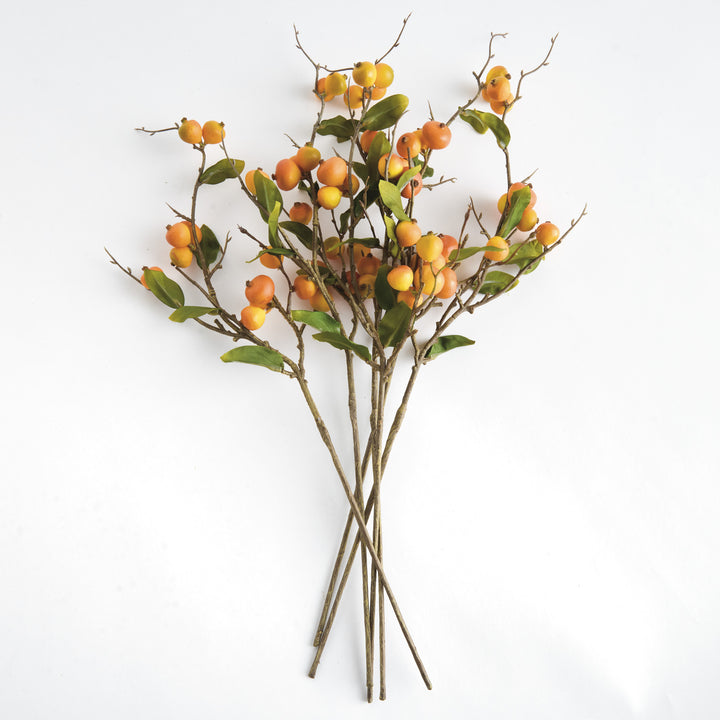 CRABAPPLE STEMS ST/6 - Yellow/Orange
