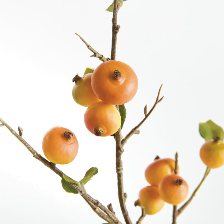 CRABAPPLE STEMS ST/6 - Yellow/Orange