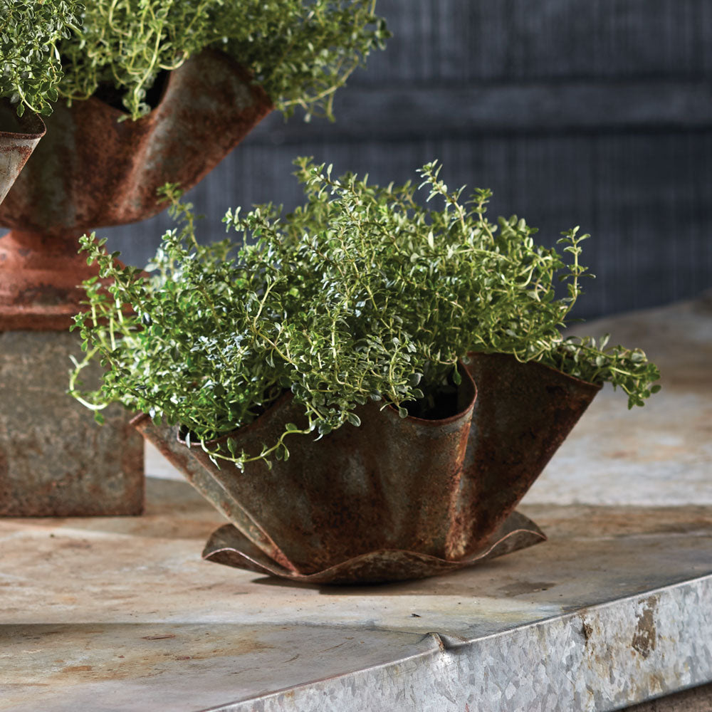 GALVANIZED HANDKERCHIEF POT WITH SAUCER
