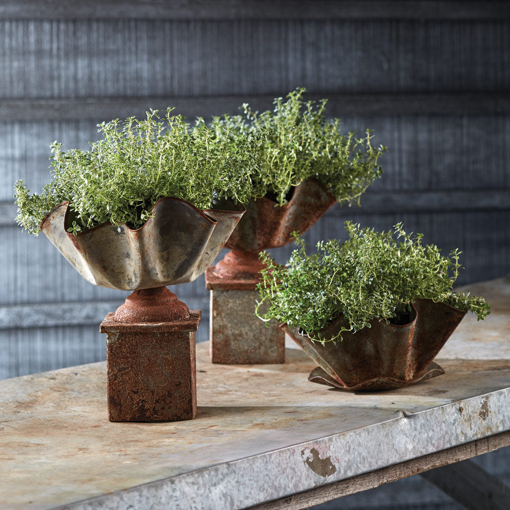 GALVANIZED HANDKERCHIEF POT WITH SAUCER