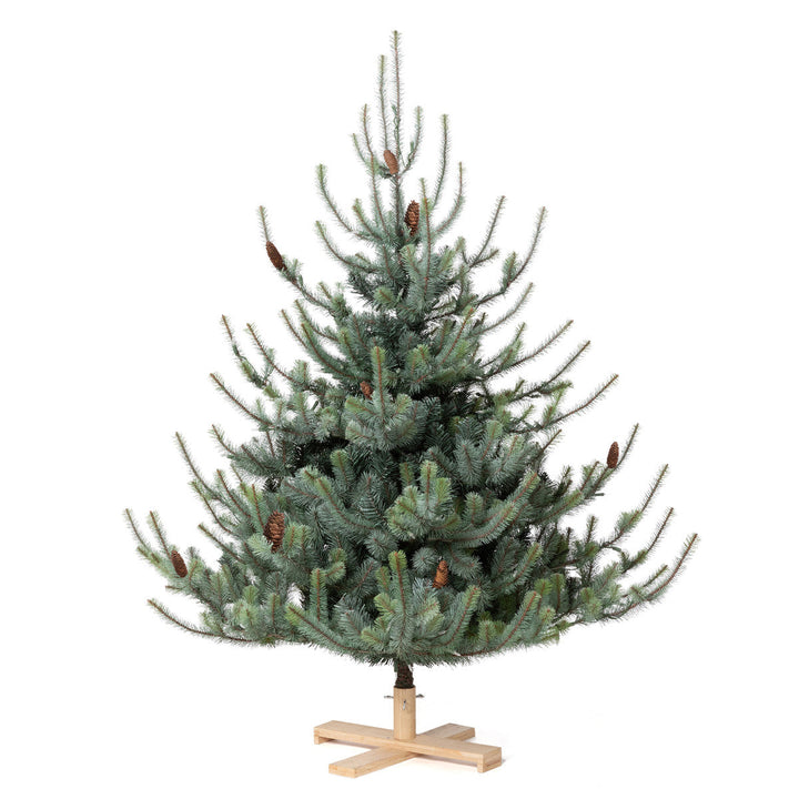 Park Hill Blue Spruce Christmas Tree, 5.5' Tree Lot