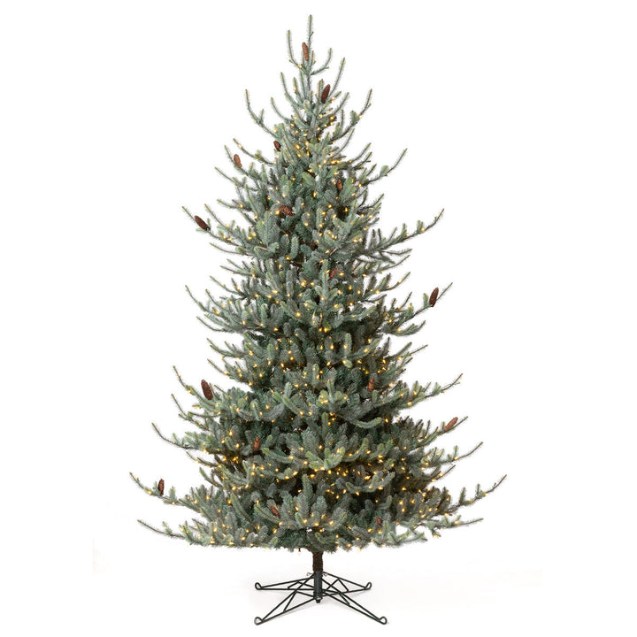 Park Hill Blue Spruce Christmas Tree, 10'