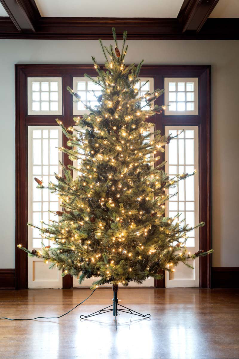 Park Hill Blue Spruce Christmas Tree, 9'