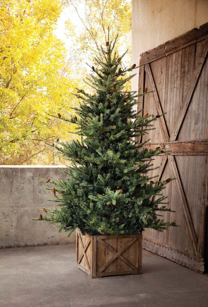 Park Hill Blue Spruce Christmas Tree, 9'