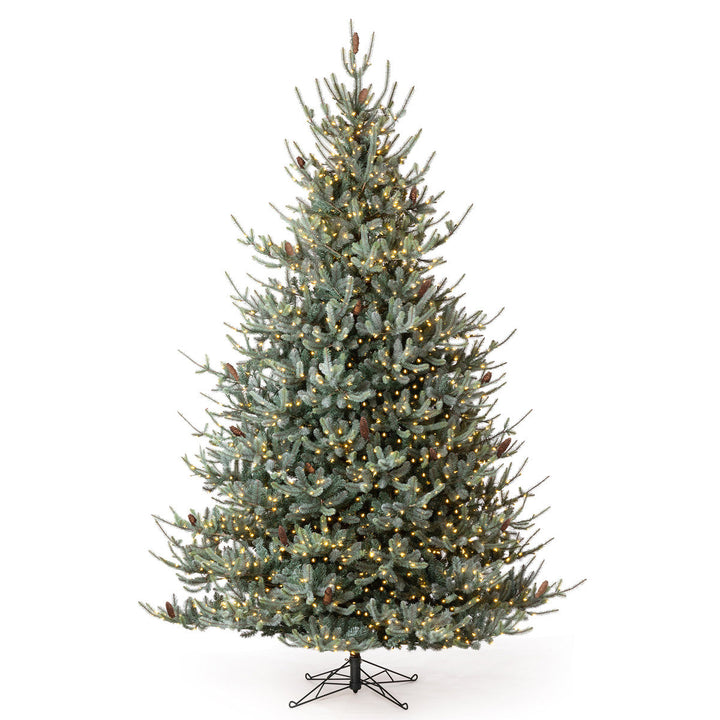 Park Hill Blue Spruce Christmas Tree, 12'