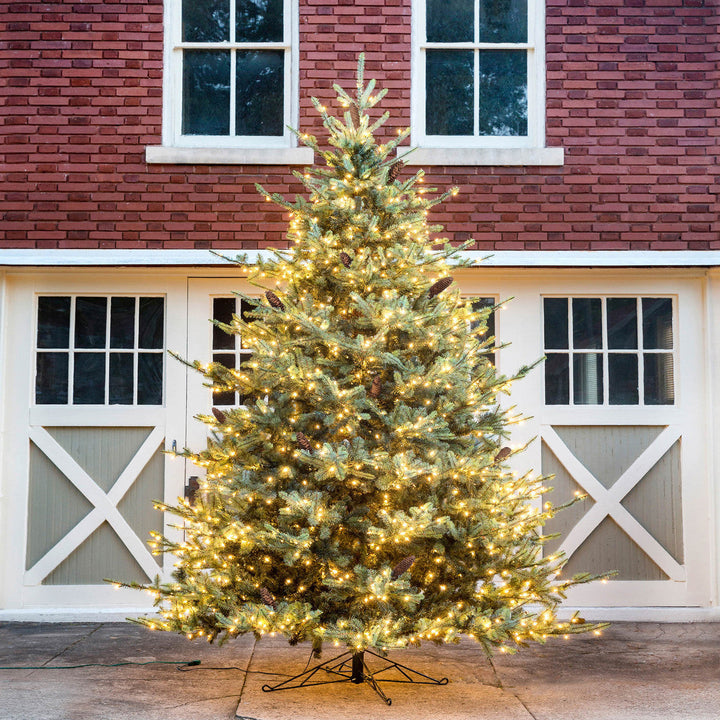 Park Hill Blue Spruce Christmas Tree, 12'