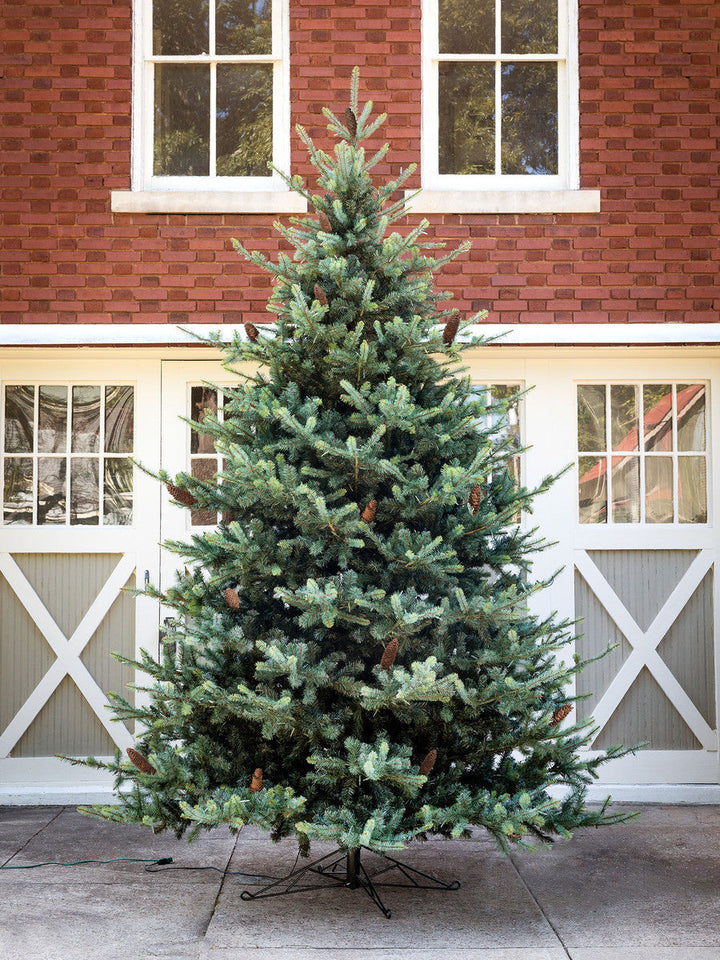 Park Hill Blue Spruce Christmas Tree, 12'