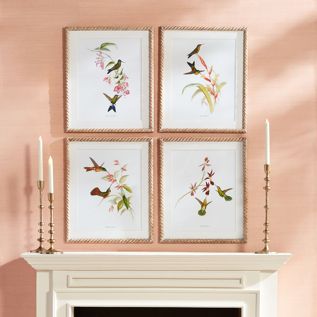 Playful Hummingbird Prints, Set Of 4