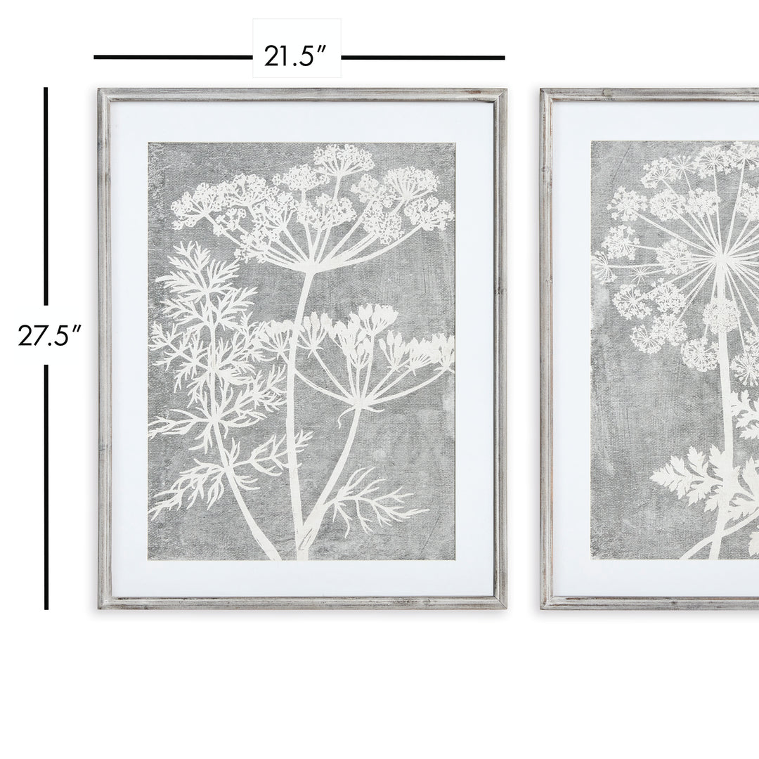 Blooming Queen Anne'S Lace Prints, Set Of 2