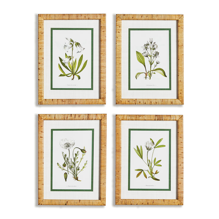 White Floral Study, Set Of 4