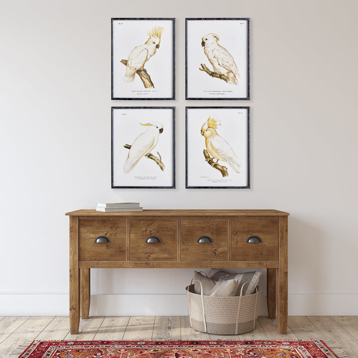 Parrot Study In White, Set Of 4