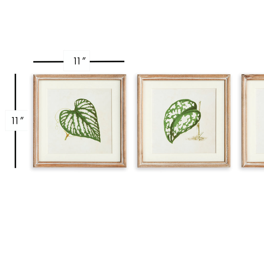 Leaf Cuttings Petite Prints, Set Of 3