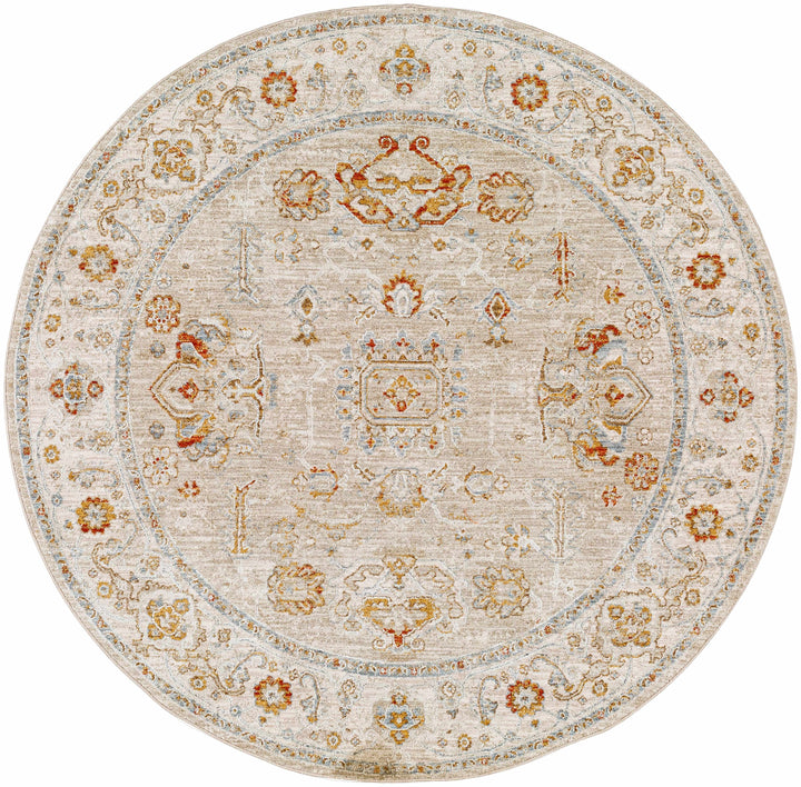 Bradley Oushak Area Rug