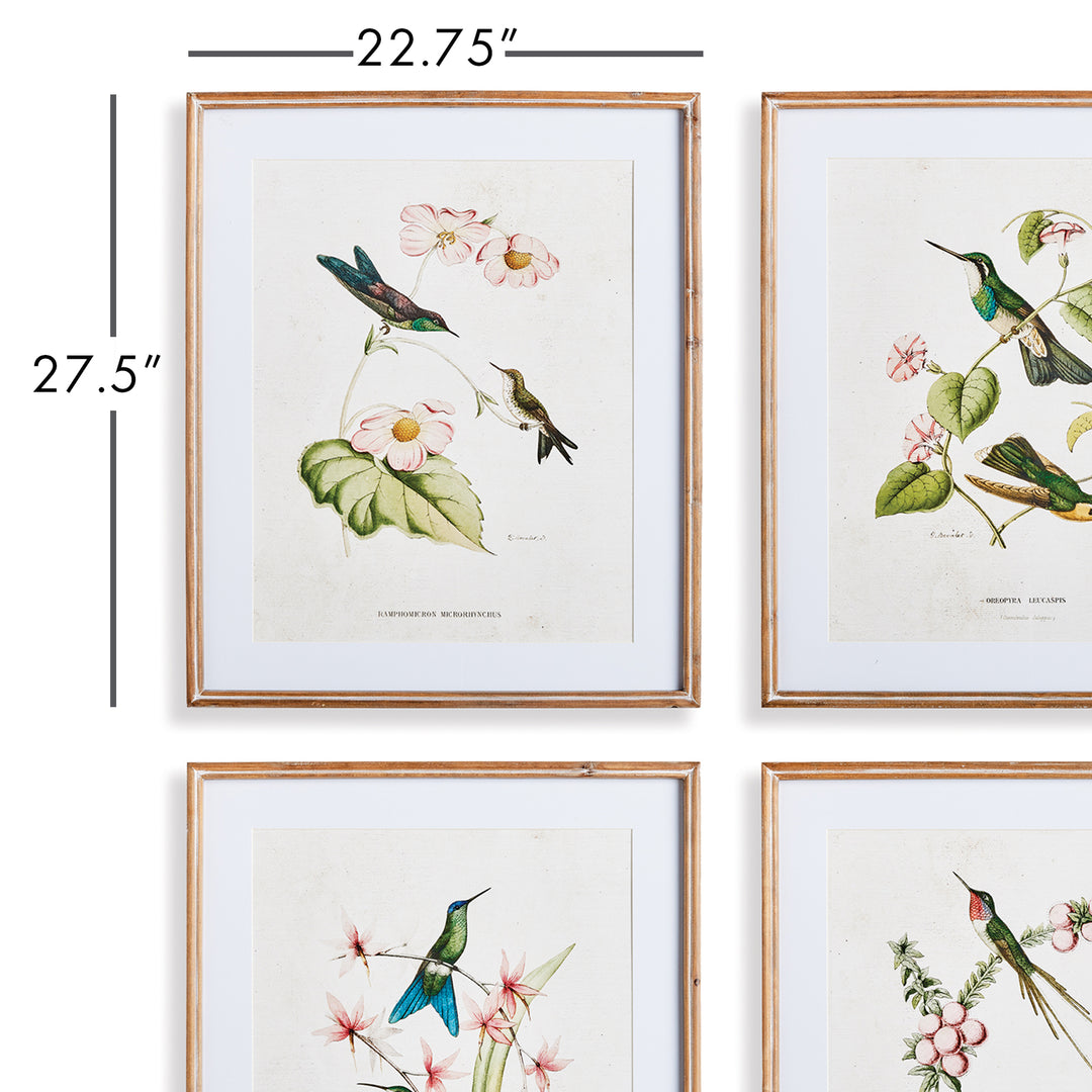 Hummingbirds With Blush Blooms, Set Of 4