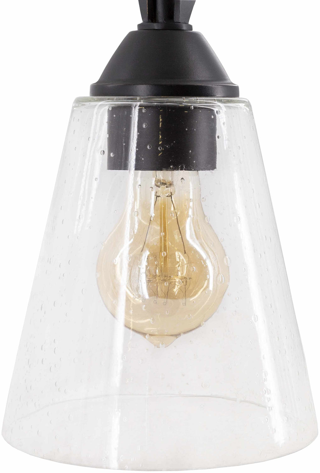 Clear glass pendant light with a black fixture on a white background

Collinswood Ceiling Light