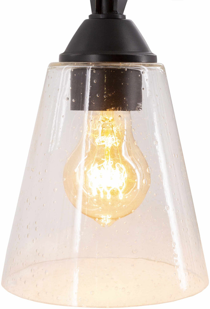 Vintage-style pendant light with clear glass shade and black fixture on a white background

Collinswood Ceiling Light