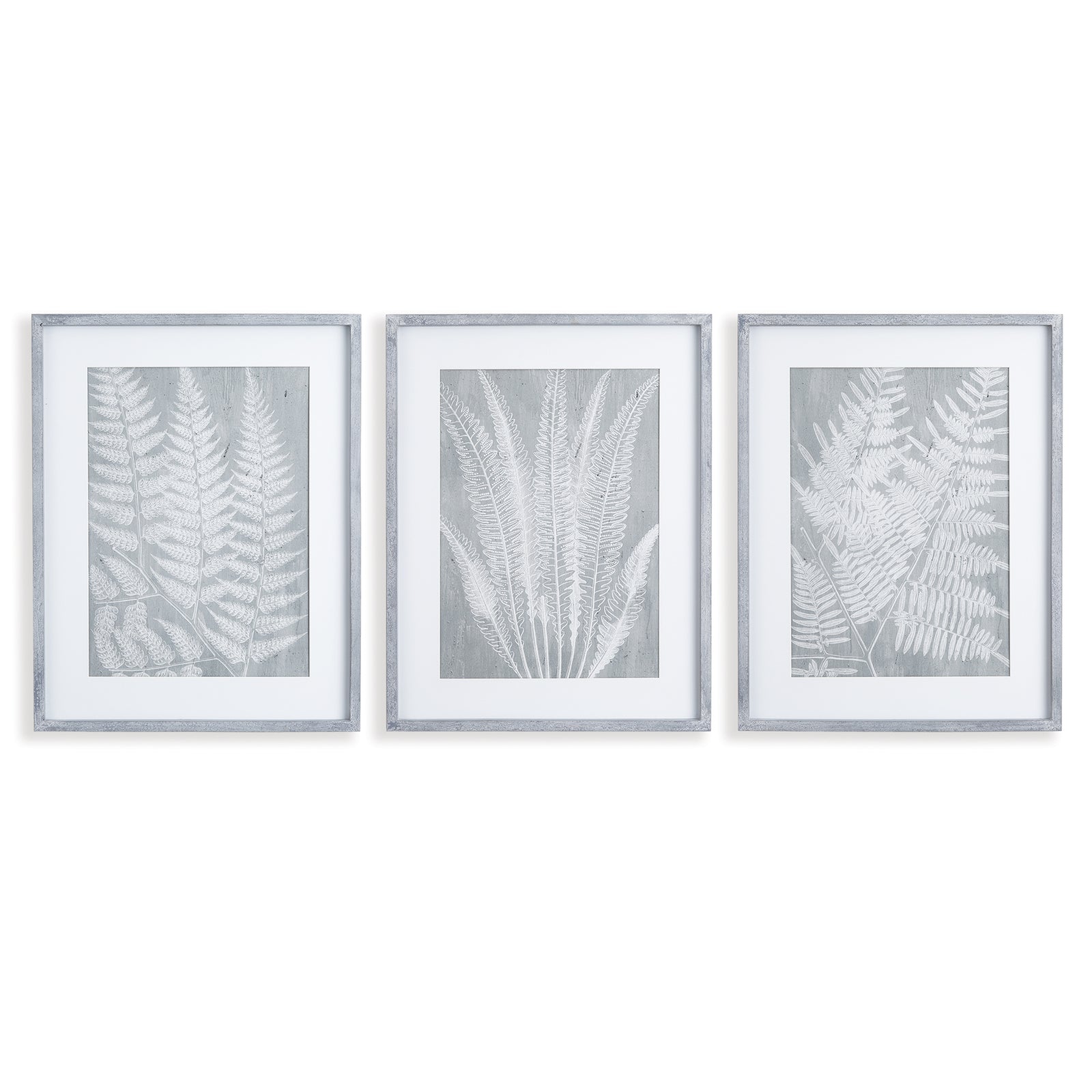 Fern Frond Prints, Set Of 3
