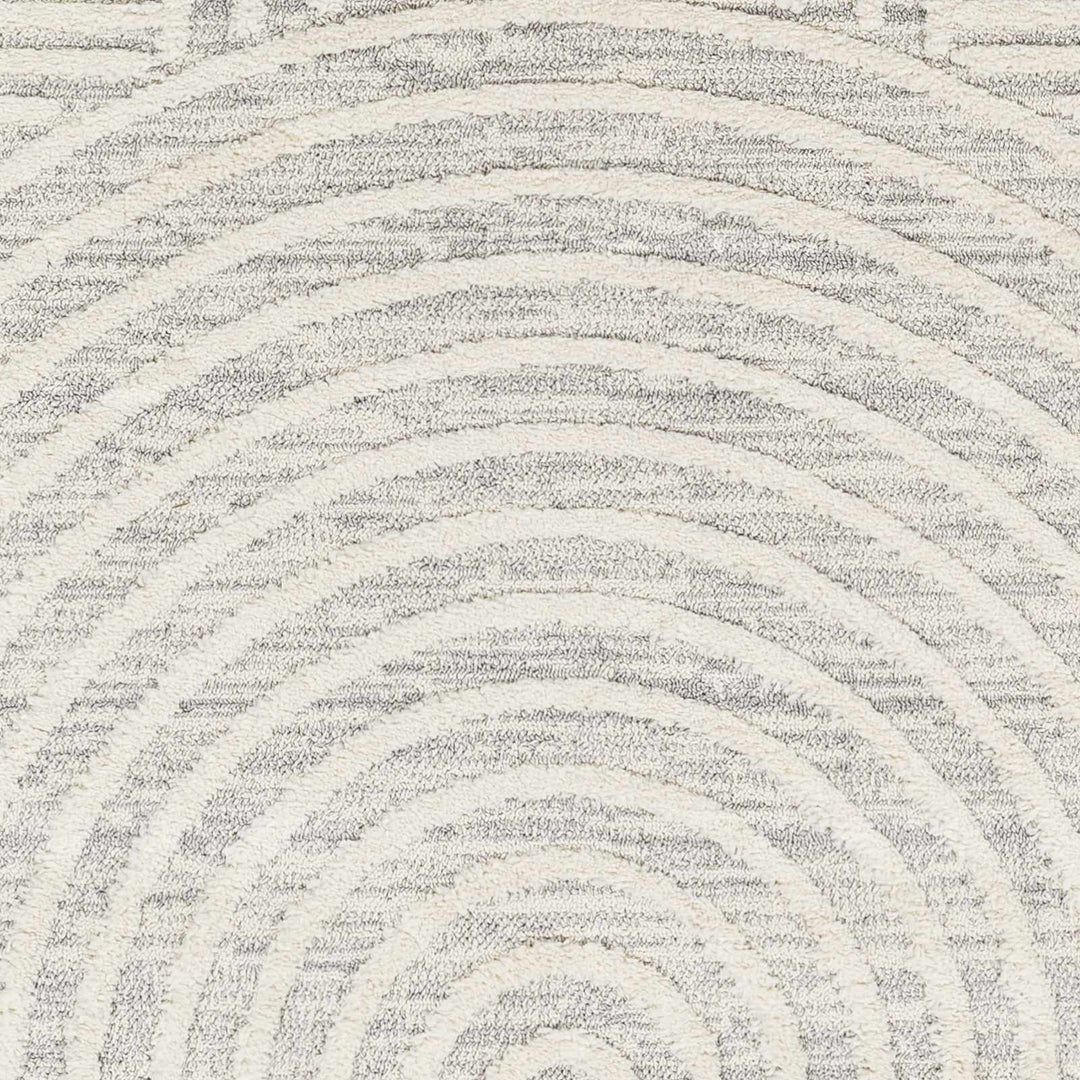 Dauin 3D Rainbow Area Rug with Tassels