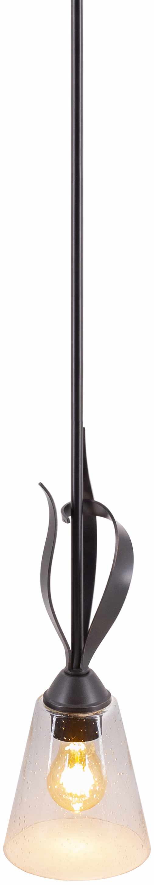 Pendant light fixture with clear glass shade and black metal design.

Collinswood Ceiling Light