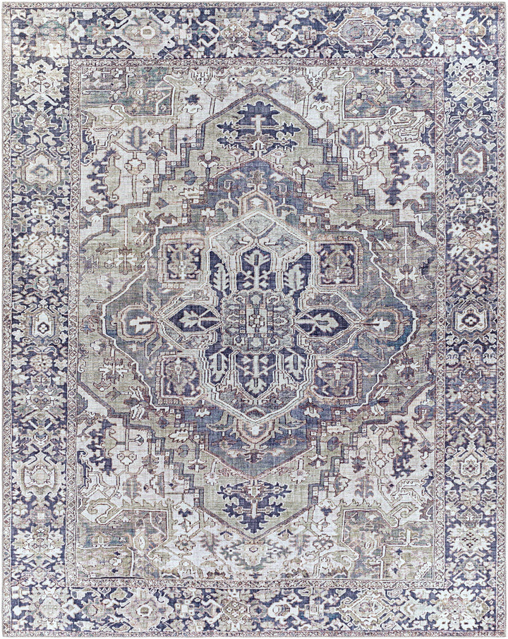 Neyland Iris Gray Area Rug 2359
