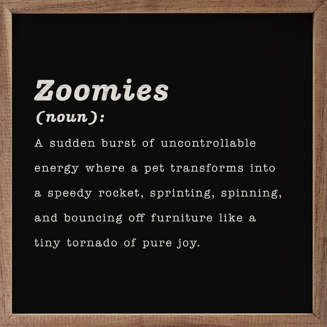 Zoomies Definition