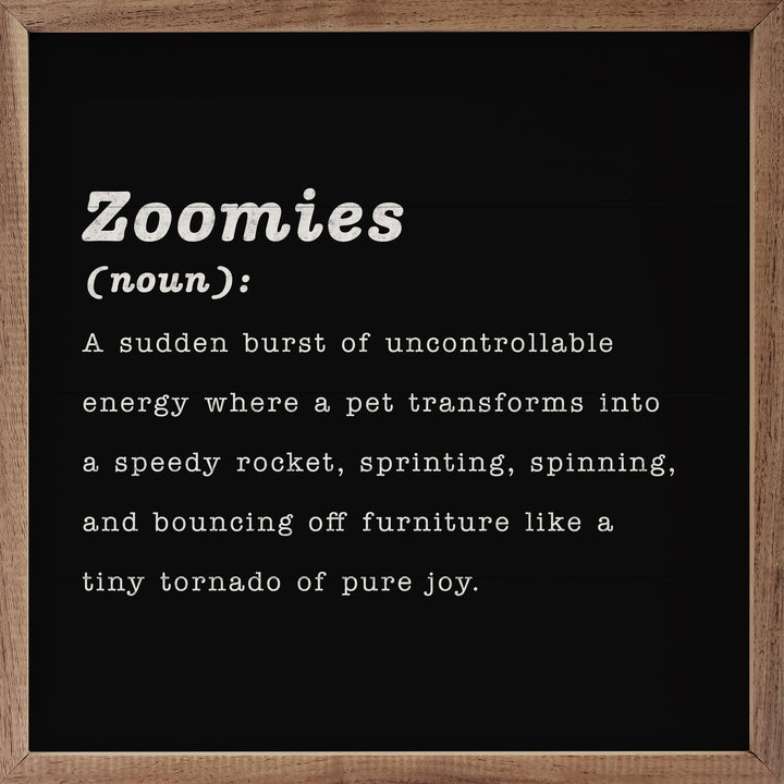 Zoomies Definition